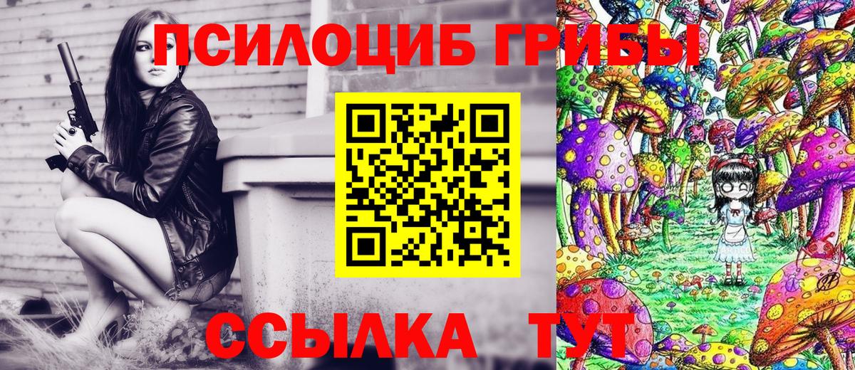 Галлюциногенные грибы Psilocybine cubensis Азов